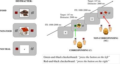 Expectancy to Eat Modulates Cognitive Control and Attention Toward Irrelevant Food and Non-food Images in Healthy Starving Individuals. A Behavioral Study